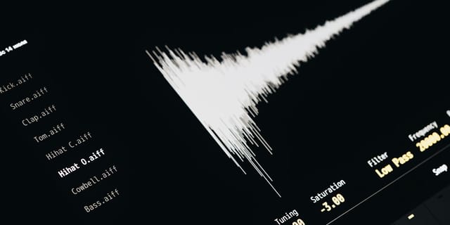 A computer screen displaying an audio sound wave.